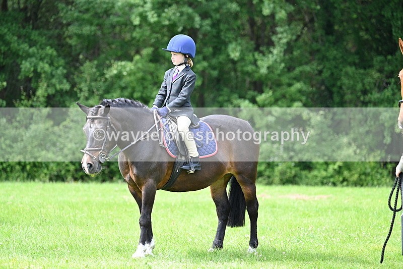 WJ7_1429 - Class 11 Condition & Turnout