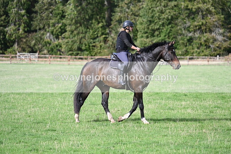 WJ7_9874 - Time 13:13 to 13:55