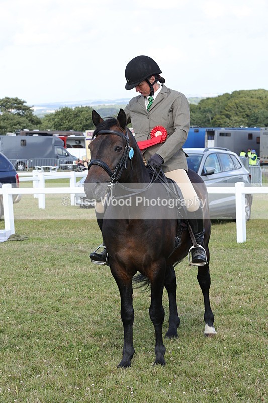 1X9A5936 - Class 41:. NPS New Forest & Connemara