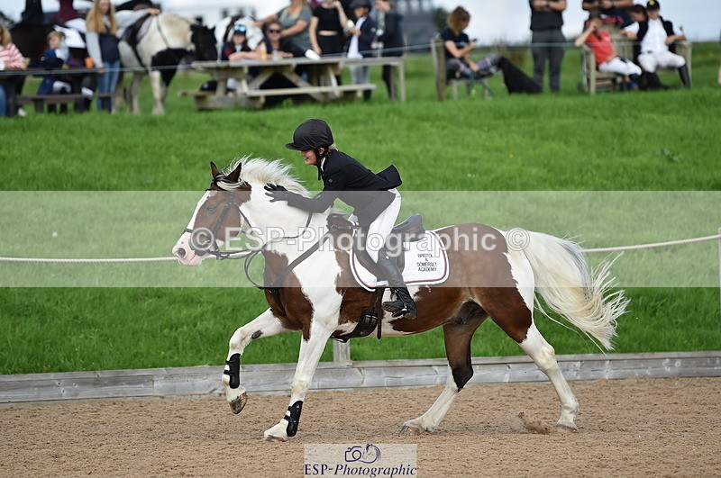 230902A-142702-01749 - Cls 3B Pony Medium 90cm