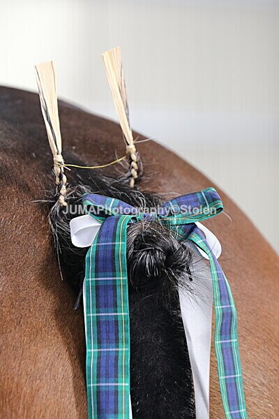 SIAL0325 - Indoor Classes