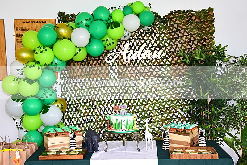 ADN-033 - Aiden's 1st Birthday