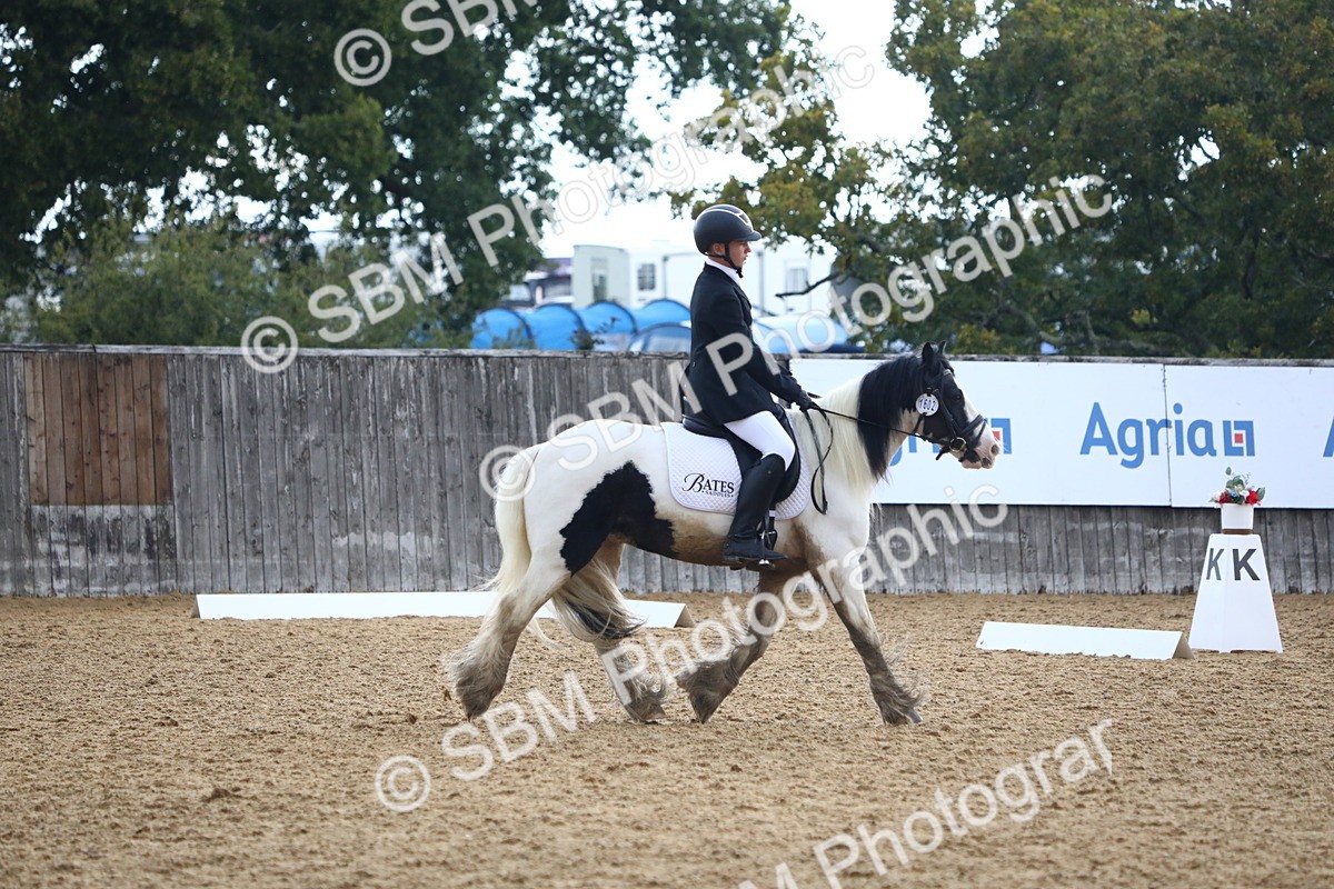 SBM_42576 - D21 - Junior Championship Intro 1