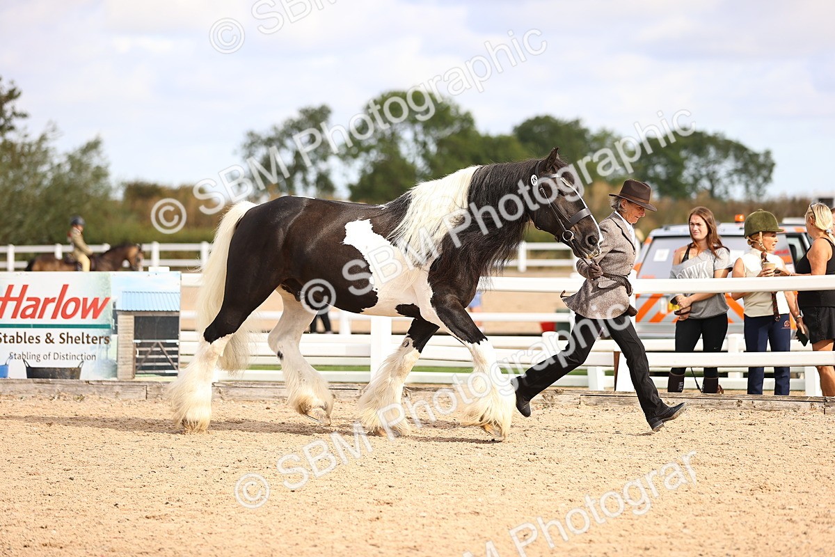 SBM_09287 - Class 404 - IH Traditional - Native Cob