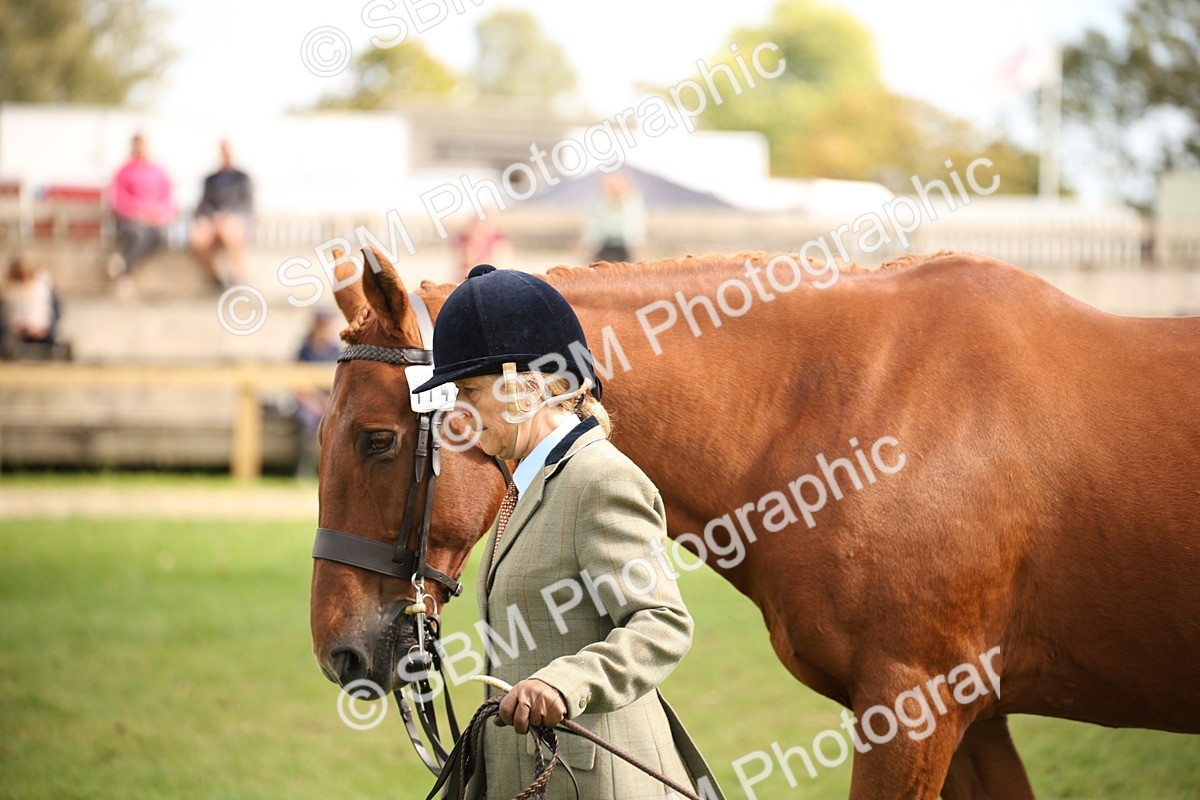 SBM_46385 - S25 - Mature Veteran In Hand