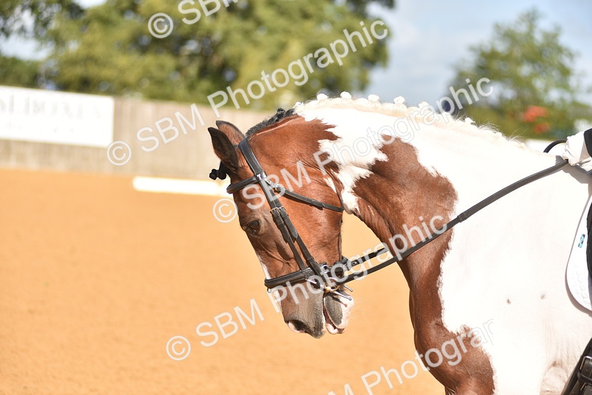 SBM_02940 - D4 - Small Tour Championship Intro 4