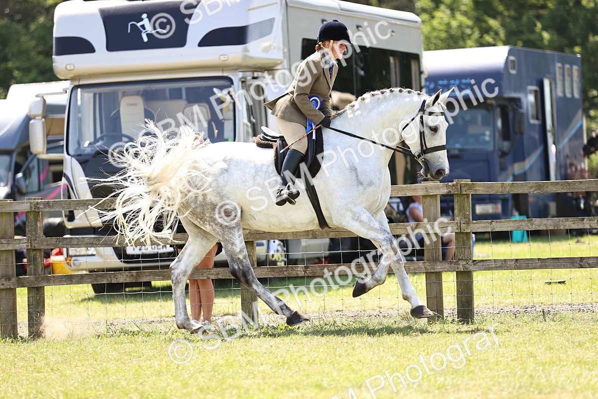 SBM_16244 - Class 79-80 - LIHS BSHA Rising Star Ridden Hunter