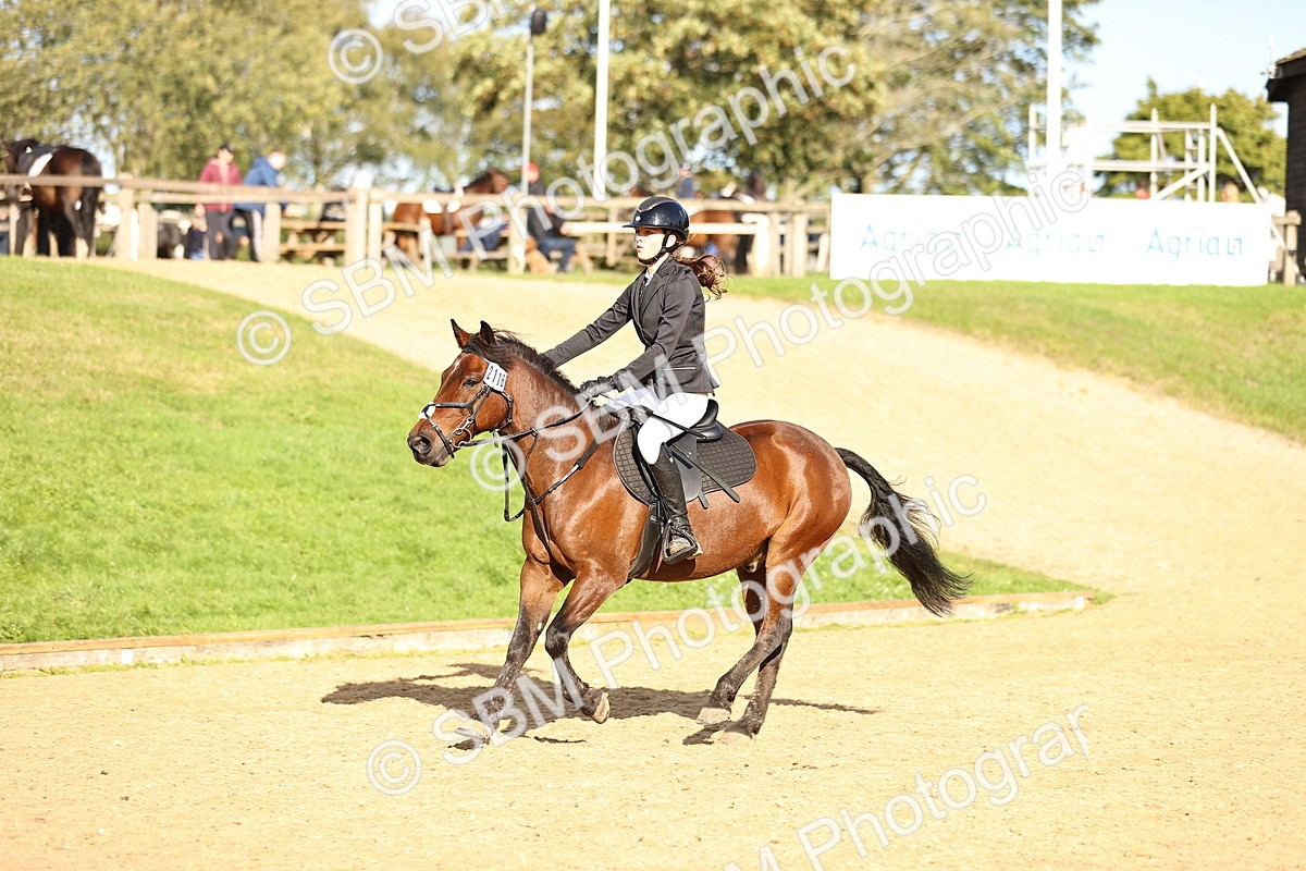 SBM_51466 - J10 - Junior Pony 75cm Championship