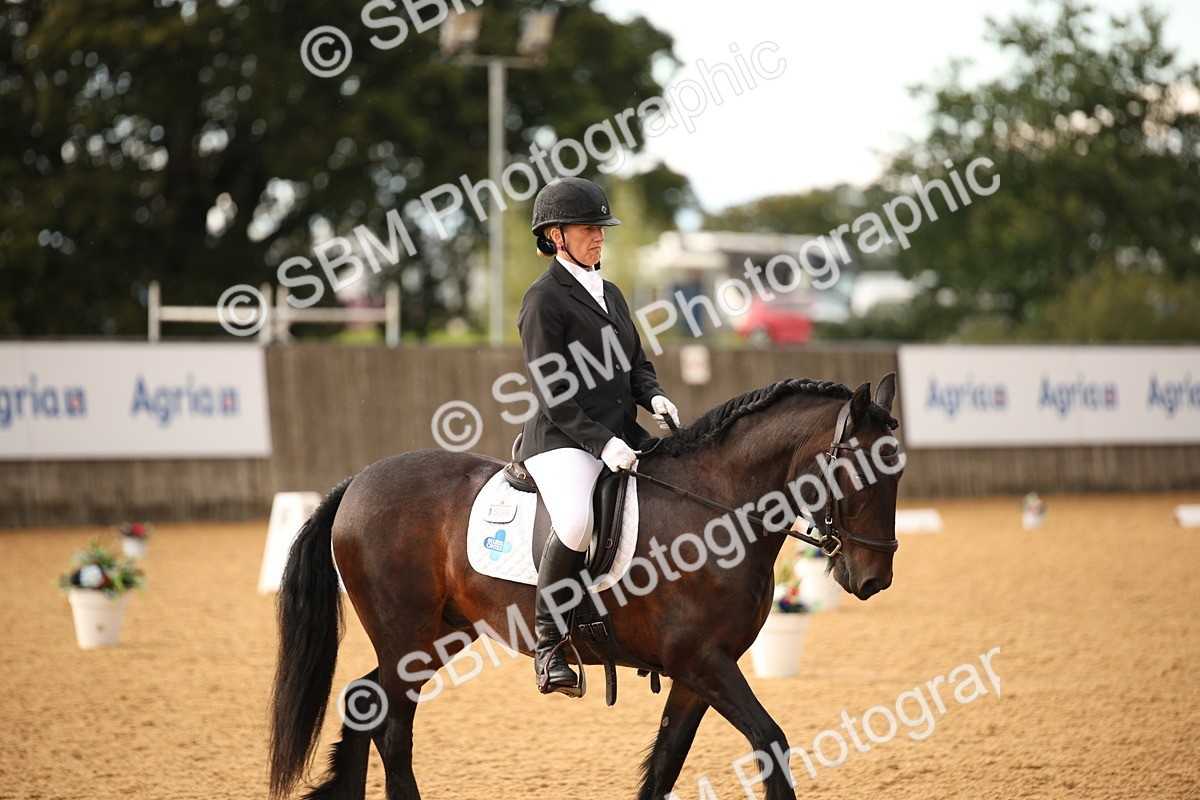 SBM_12405 - D3 Small  Tour Championship Intro A