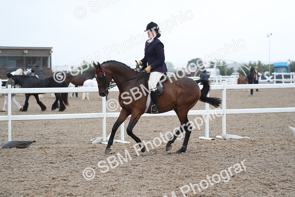 SBM_21597 - Class 602 - 2025 Area - Ridden Veteran