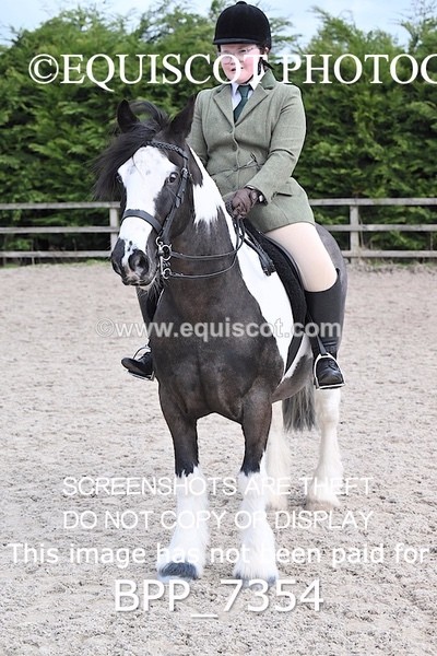 BPP_7354 - RING 1  (RIDDEN HORSES / IN HAND / VETERAN ETC)