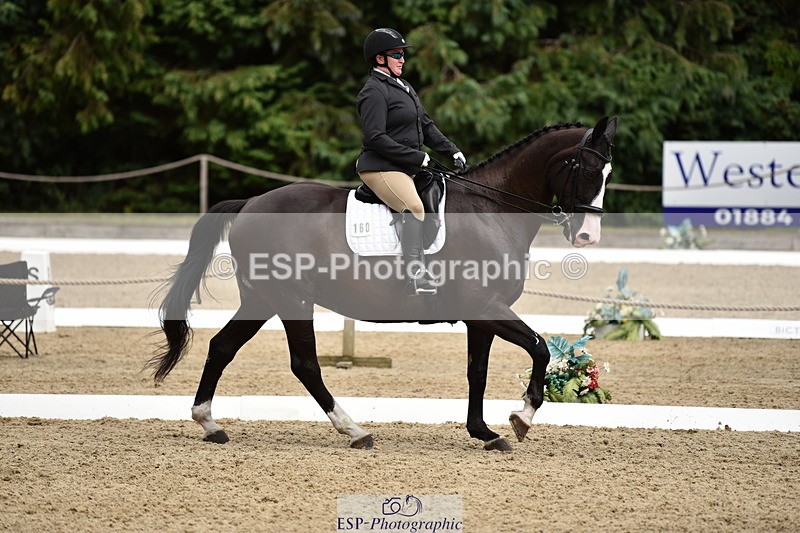 140110A-042822-12157 - 160-Rosey.Bradburn-High.Spirits.II