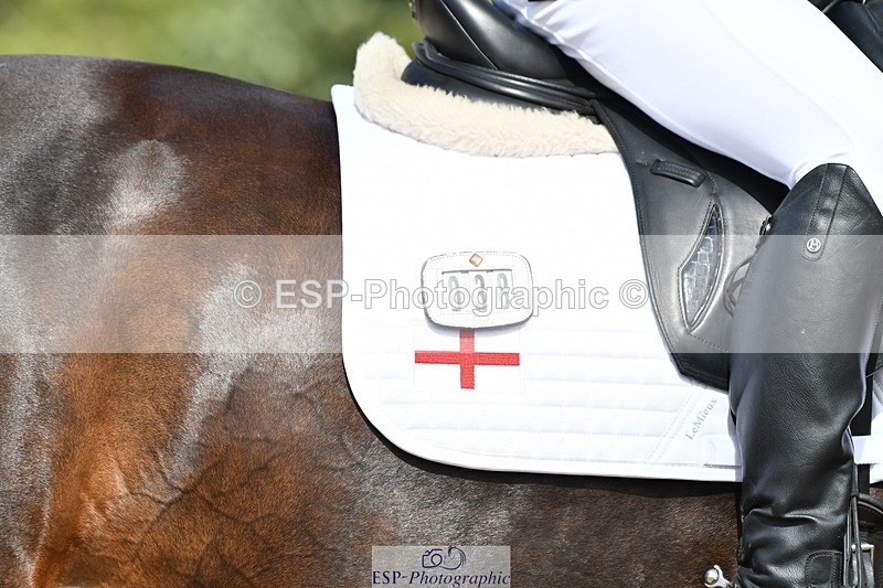 250906-122548-02685 - 038-Greg.DickensBrutus.G