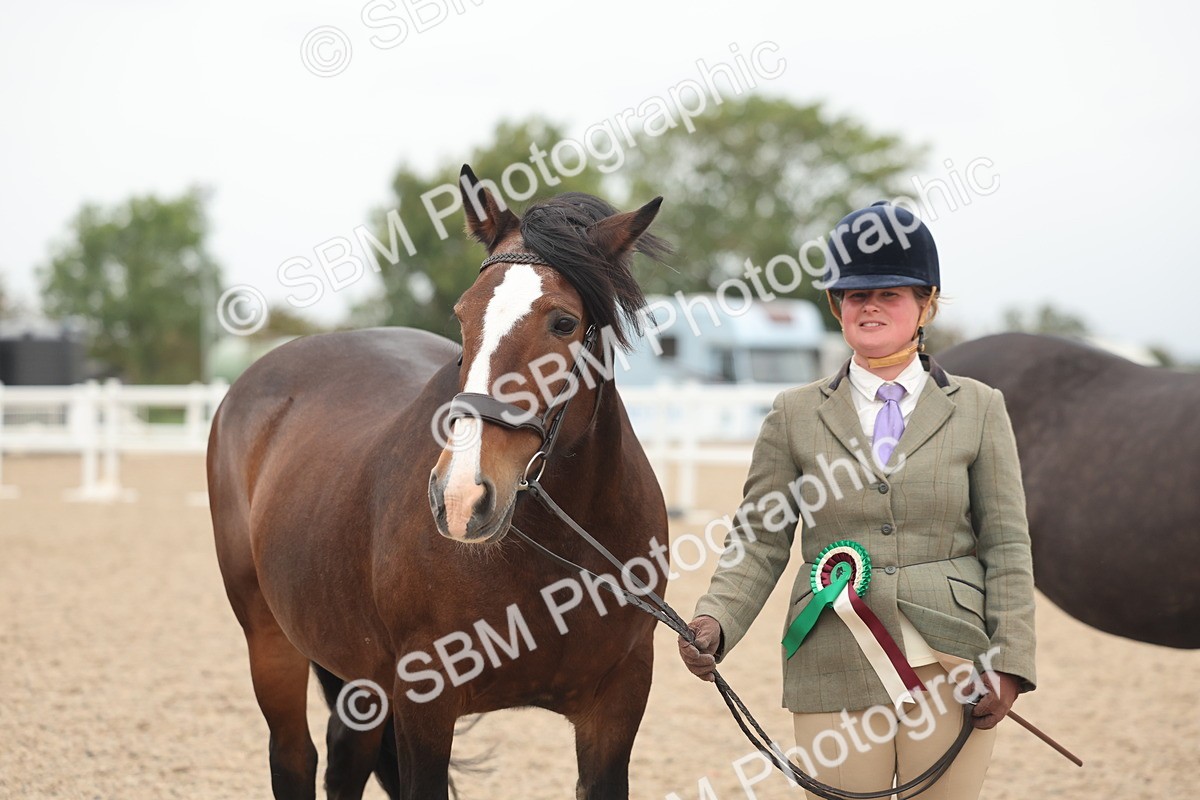 SBM_19898 - Class 318 - IH Part Bred Horse-Pony