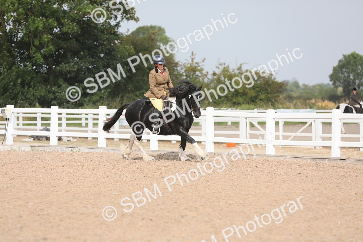 SBM_12692 - Class 307 Ridden Coloured Pony