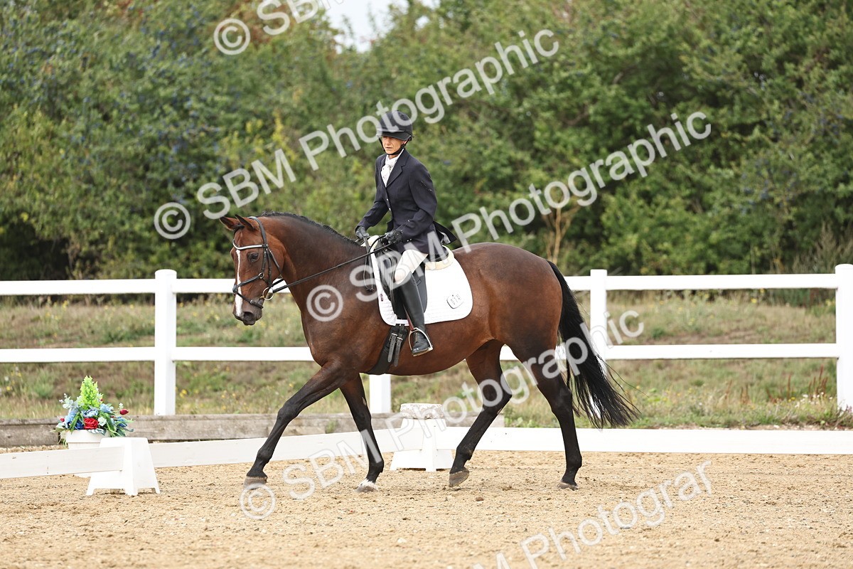 SBM_002689 - Class 7 - Novice 2 Warm Up