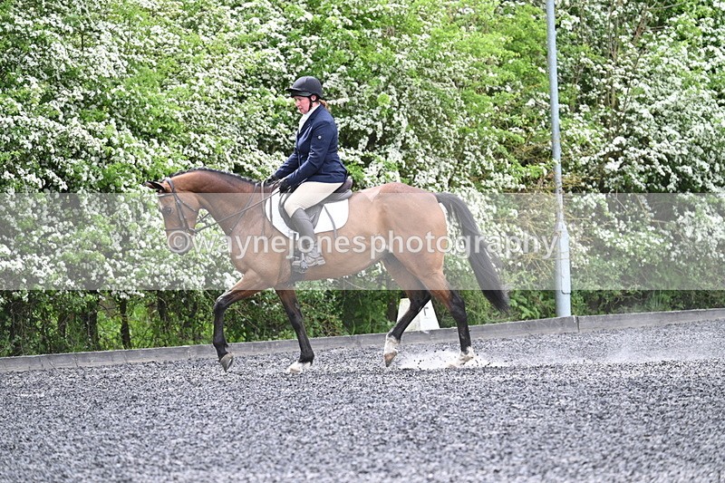 WJ7_8296 - Time 10:30 to 10:51