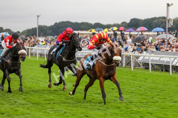 080924-Race 6-Northern Spirit-4567 - Race 6 4.35pm Hanson Springs Handicap