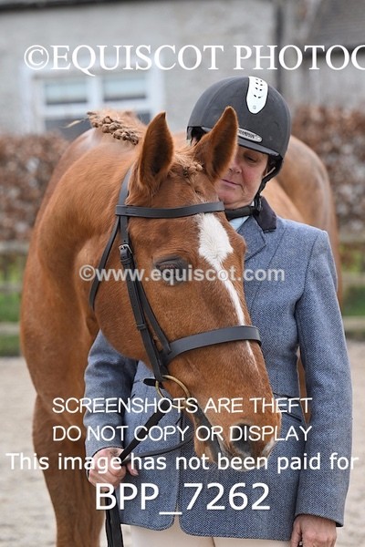 BPP_7262 - RING 1  (RIDDEN HORSES / IN HAND / VETERAN ETC)
