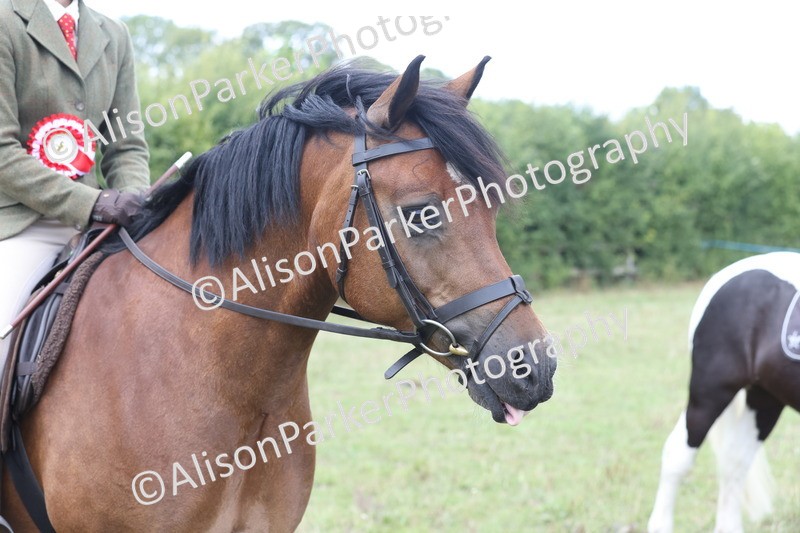 20250831-4437 - Championship