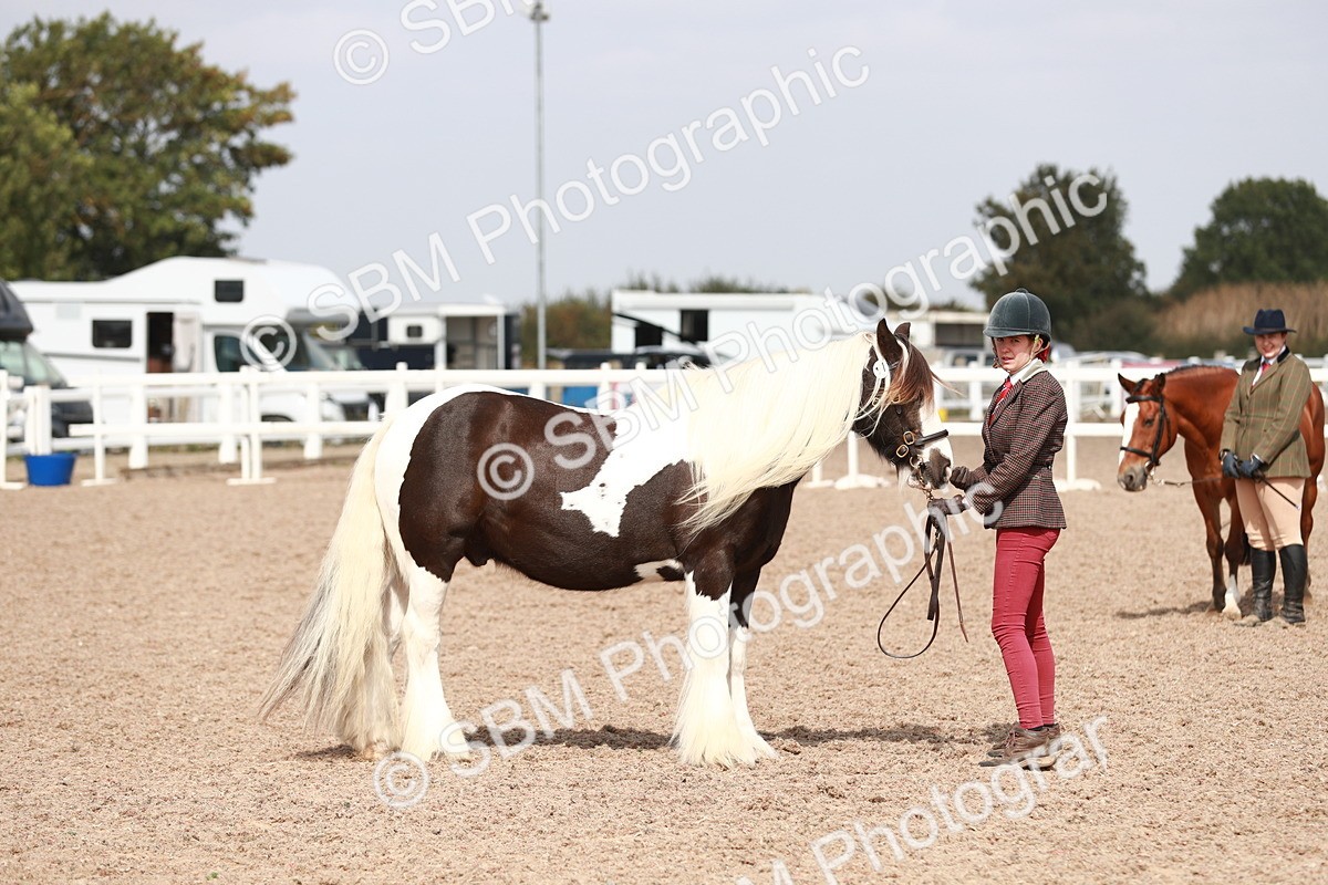 SBM_13896 - Class 209 IH Veteran Pony