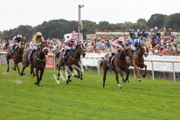 yr19082022r1-19 - Race 1 1.50pm Sky Bet Stakes