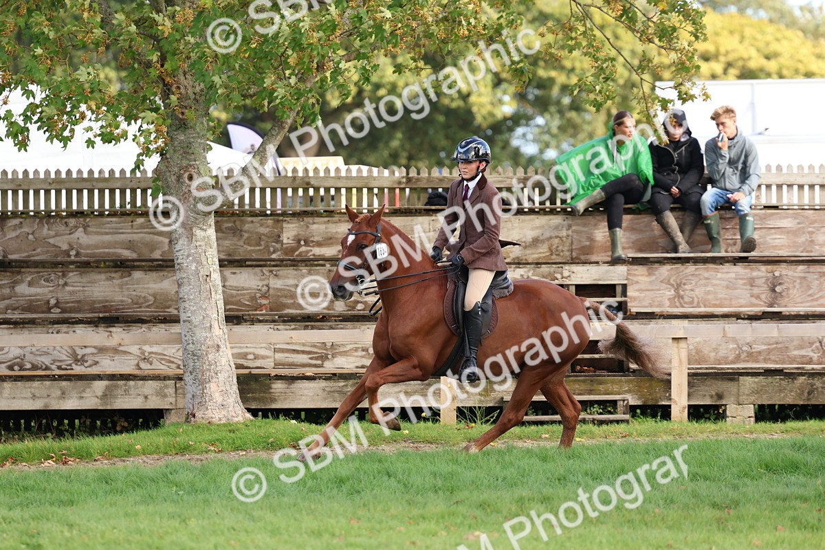 SBM_47778 - S28 - Veteran Ridden