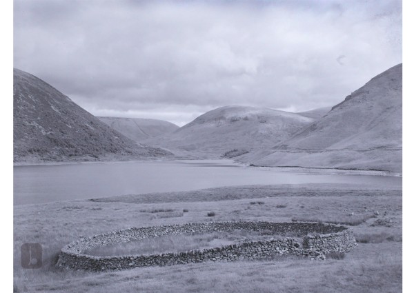 Javier Ternero - Christmas exhibition 2023