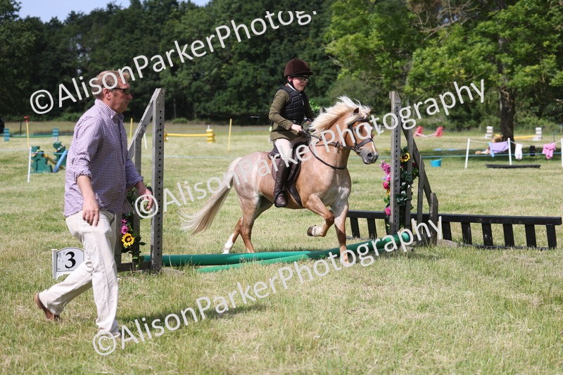 20260614-0745 - Class 20 - Beginners Working Hunter Pony