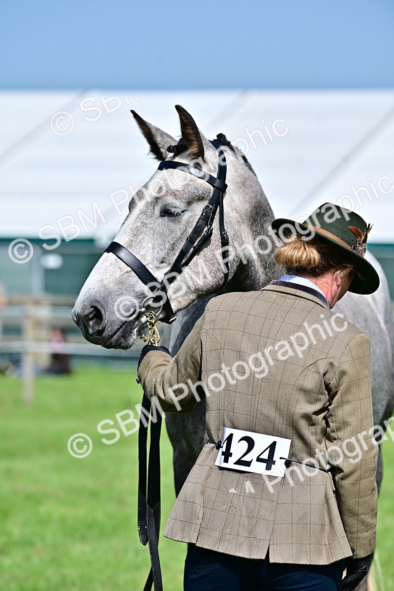 SBM_03333 - Class 50 - 54 Light Horse Breeding