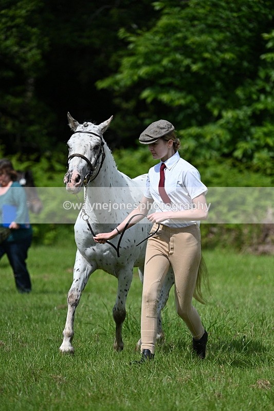 WJ7_1308 - Class 11 Condition & Turnout