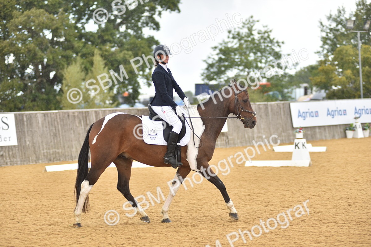 SBM_19903 - D4 - Small Tour Championship Intro 4