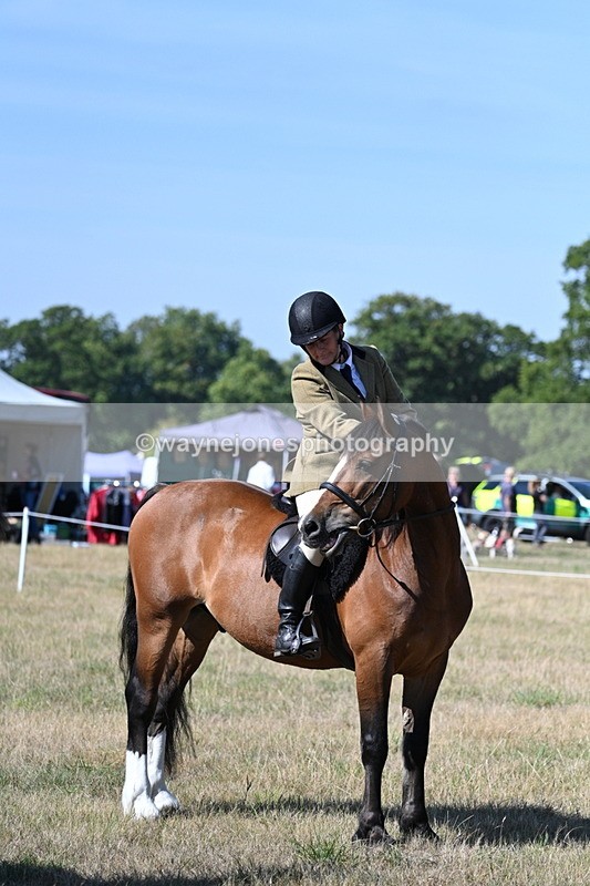WJ7_3702 - Class 9 Mountain & Moorland Ridden