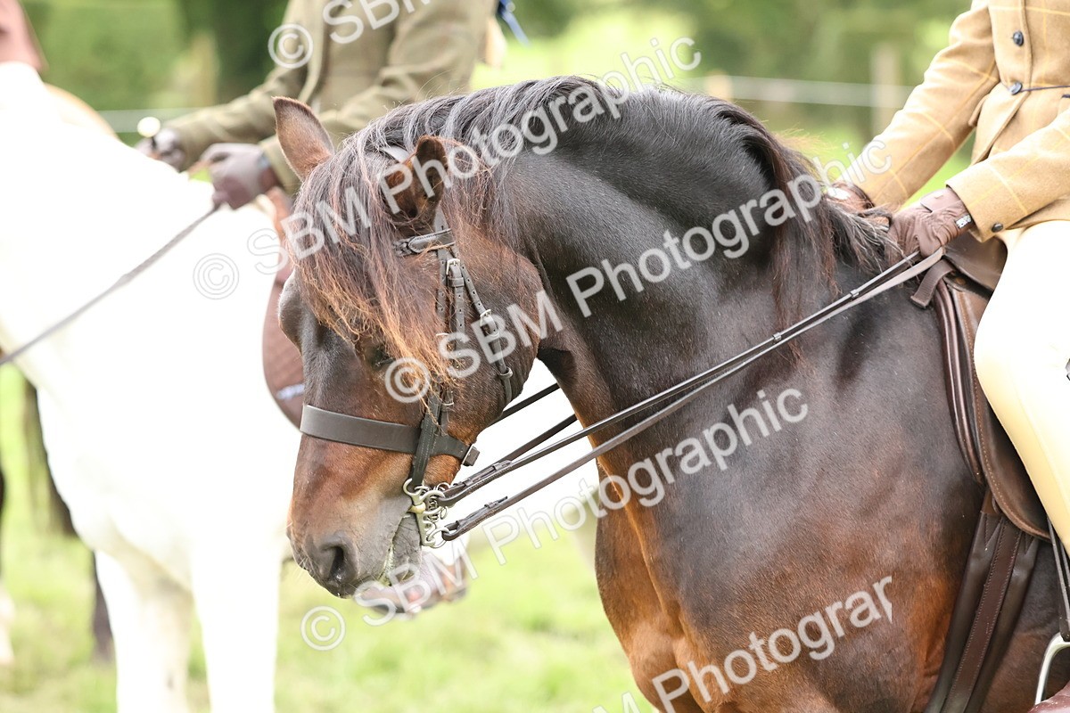 SBM_67449 - S61 - Mountain & Moorland Ridden
