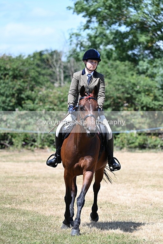 WJ7_3078 - Class 7 Riding Club Show Horse
