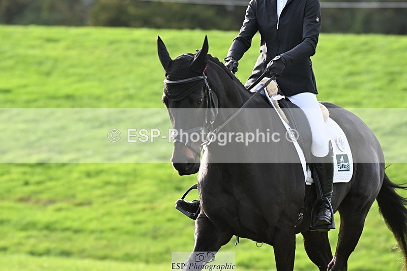 241025-153017-10257 - 463-Ilaria.Serra-FOXBURY.STORMBORN