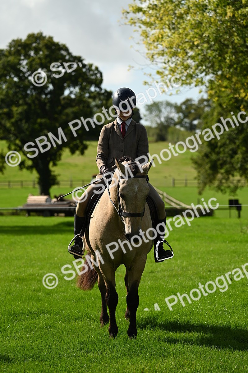 SBM_01646 - S2 - TSR Ridden Horse Showing