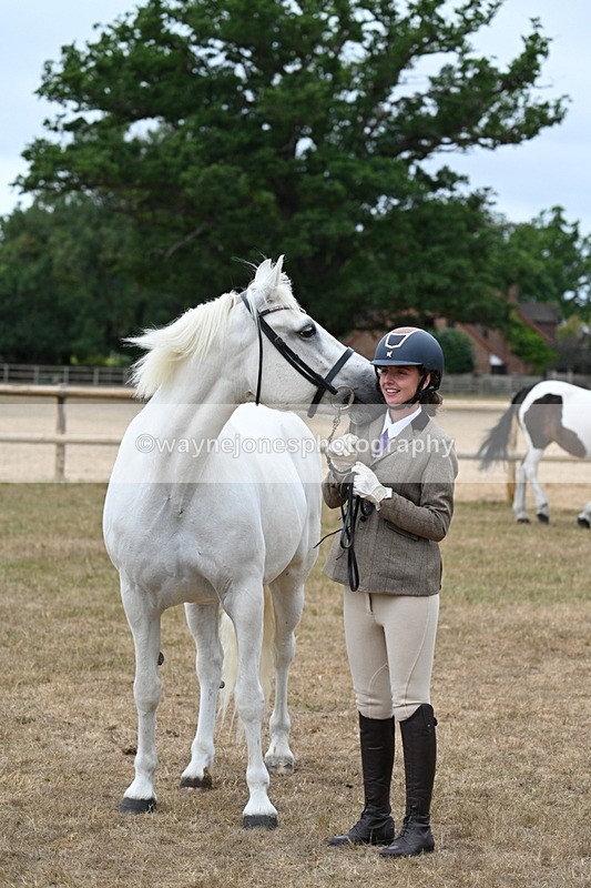 WJ7_9131 - Class 4a Prettiest Mare 14.2hh and over