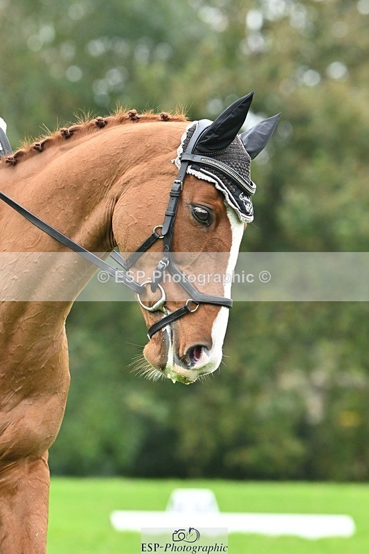 241024-110214-02344 - 314-Beth.Jones-FANTASY.CHILLI.(GB)