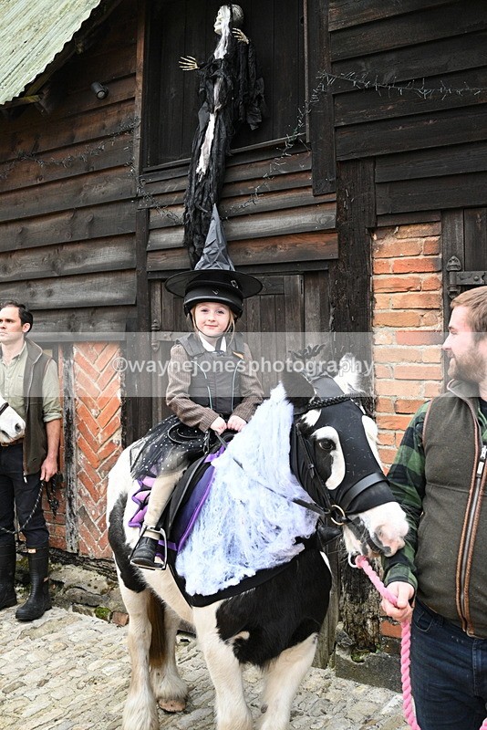 WJ7_6053 - Berks & Bucks - Children's Meet - The Old Farmhouse – Steventon.