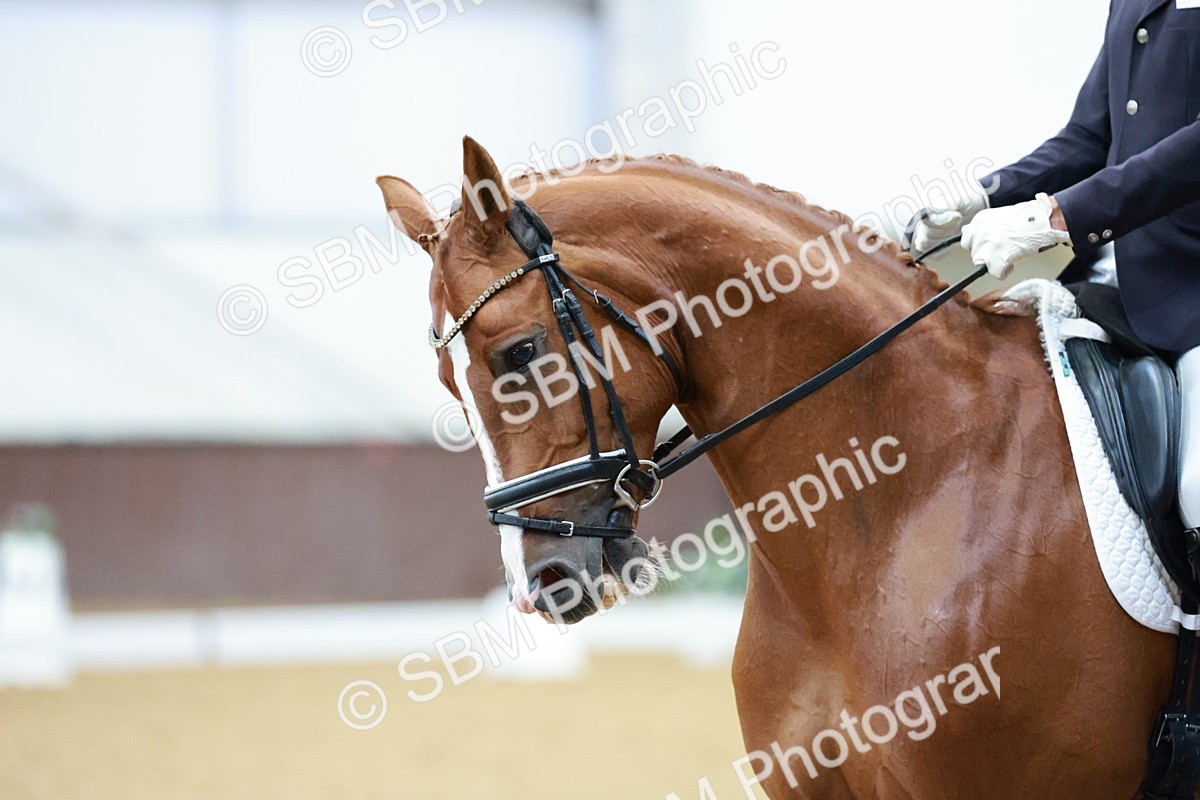 SBM_006342 - Class 3 - Medium 6 - 16.16-17.28