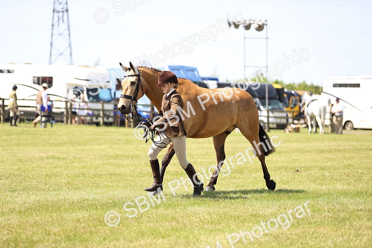 SBM_15200 - Class 79-80 - LIHS BSHA Rising Star Ridden Hunter