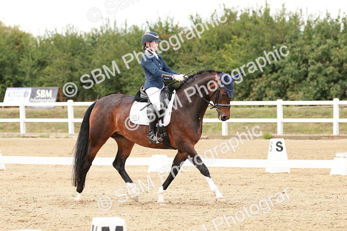 SBM_002165 - Class 11 - Medium 6