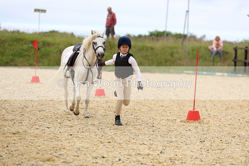 3E7A9620 - Walk trot run