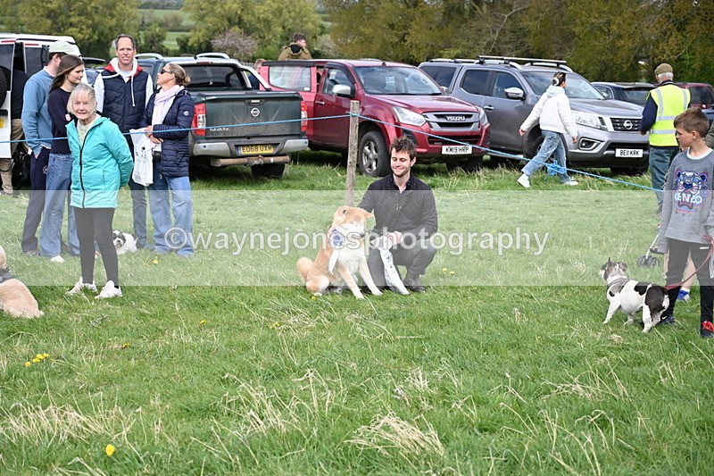 WJ6_8600 - Class 6 Best Rescue