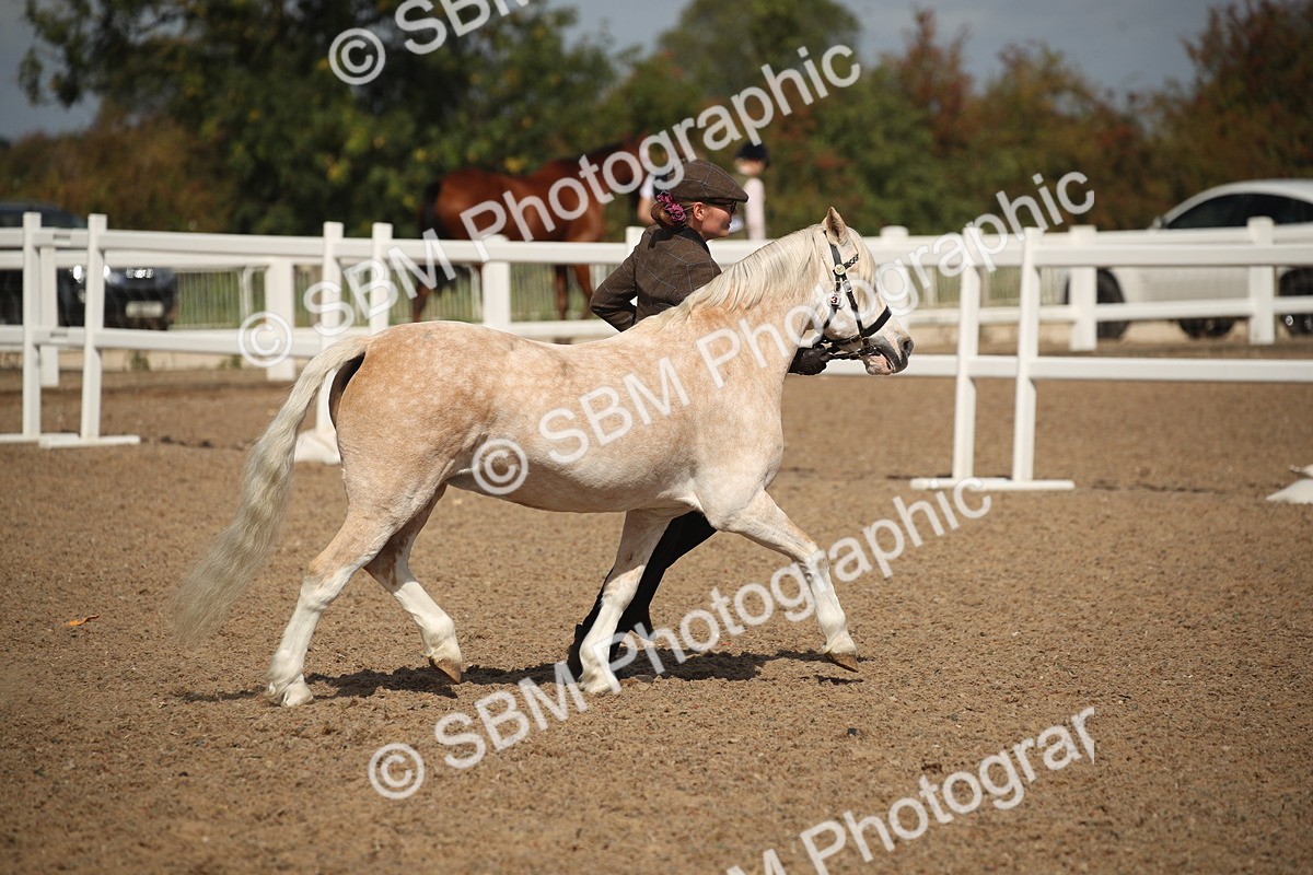 SBM_23387 - Class 604 - 2026 - Area IH Diamond