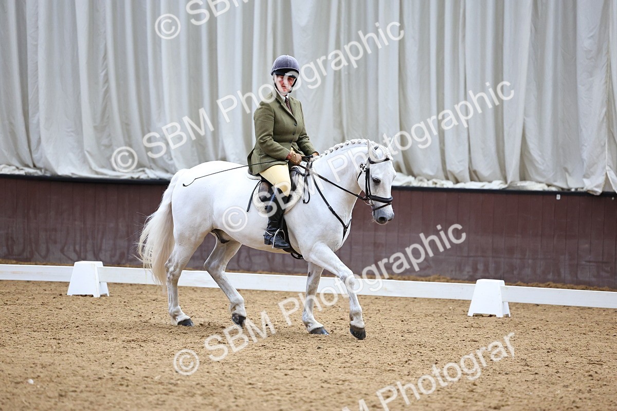 SBM_005459 - Elementary 2