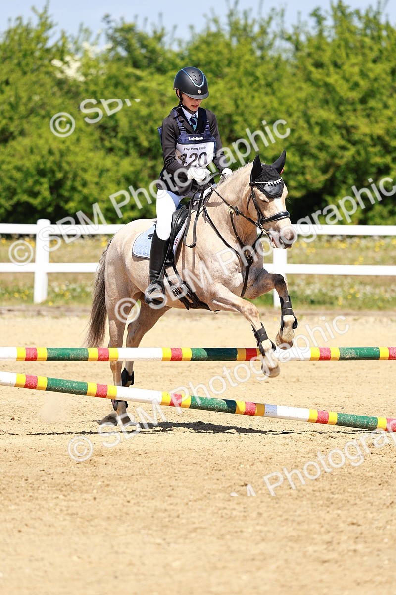 SBM_007390 - Class 3 - 60cm