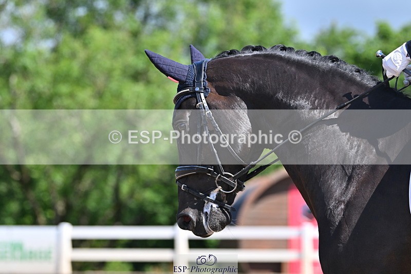 240622A-101036-08106 - Cls 28 BD Music Novice