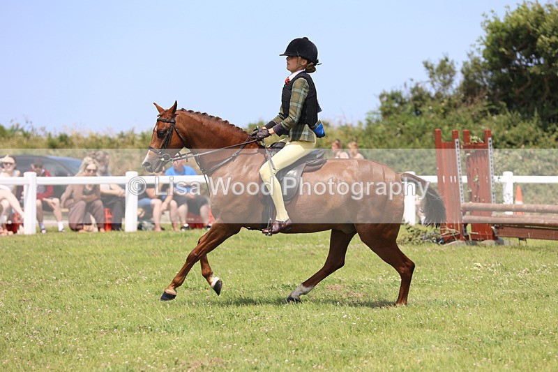 JPP_2577 - Class 21: Working Hunter 60cm